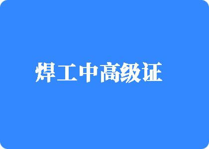 C级男女操逼免费黄片焊工中高级证